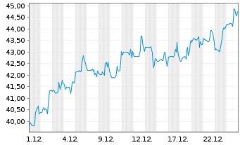 Chart XPEL Inc. - 1 Monat