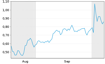 Chart Mini Future Short Nike - 6 Months