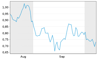 Chart Mini Future Short Chevron - 6 Monate
