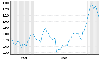 Chart Mini Future Long PVA TePla - 6 Months