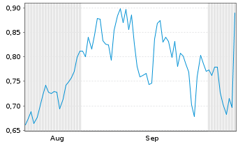 Chart Mini Future Short Fresenius Medical Care - 6 Months