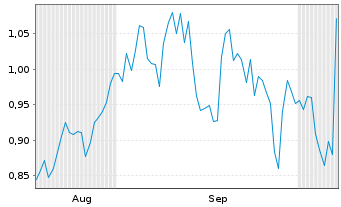 Chart Mini Future Short Fresenius Medical Care - 6 Months