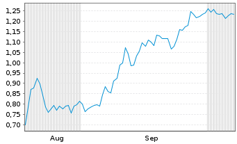 Chart Mini Future Short Li-FT Power - 6 Monate