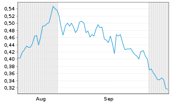 Chart Mini Future Long Borussia Dortmund - 6 Monate