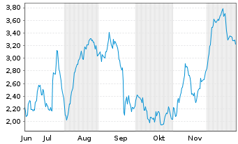 Chart Mini Future Long Volkswagen - 6 Monate