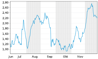 Chart Mini Future Long Volkswagen - 6 Monate