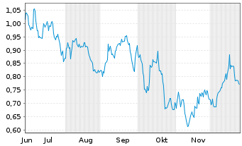 Chart Mini Future Short Shell - 6 Monate