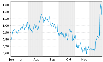 Chart Mini Future Long Carnival - 6 Monate