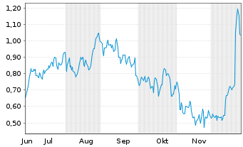 Chart Mini Future Long Carnival - 6 Monate