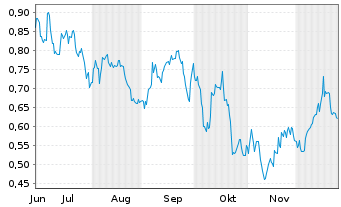 Chart Mini Future Short Shell - 6 Monate