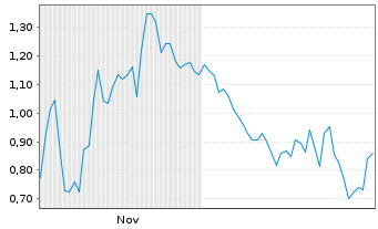 Chart Mini Future Short Palantir - 6 Monate