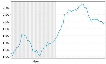 Chart Mini Future Long Volkswagen - 6 Monate