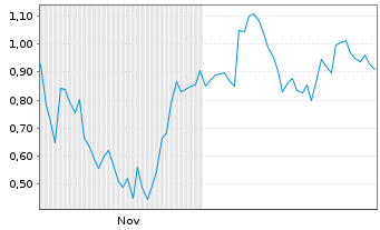 Chart Mini Future Long Meta Platforms - 6 Monate
