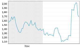 Chart Mini Future Short Nike - 6 Monate