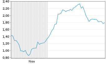 Chart Mini Future Long Volkswagen - 6 Monate