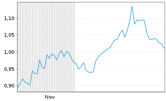 Chart Mini Future Short Shell - 6 Monate