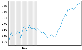 Chart Mini Future Short ARM Holdings - 6 Monate