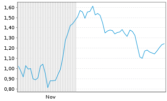 Chart Mini Future Long Siltronic - 6 Monate