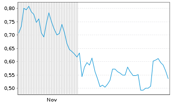Chart Mini Future Short PVA TePla - 6 Monate