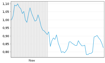 Chart Mini Future Short PVA TePla - 6 Monate