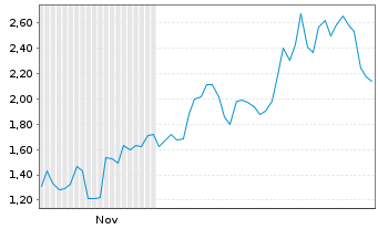 Chart Mini Future Long Tesla - 6 Monate