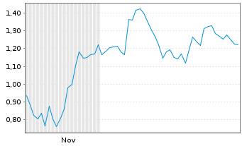 Chart Mini Future Long Meta Platforms - 6 Monate