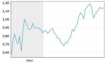 Chart Mini Future Short Super Micro Computer - 6 Monate