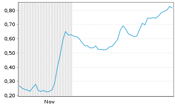 Chart Mini Future Long Hexatronic Group - 6 Monate