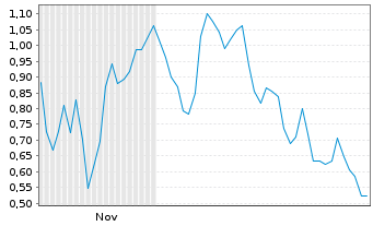 Chart Mini Future Long Hims & Hers Health - 6 Monate