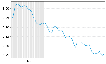 Chart Mini Future Short ING - 6 Months