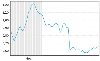 Chart Mini Future Long Carl Zeiss Meditec - 6 Monate