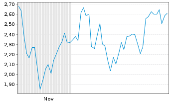 Chart Mini Future Long Adyen - 6 Monate