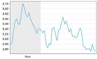 Chart Mini Future Short Adyen - 6 Monate