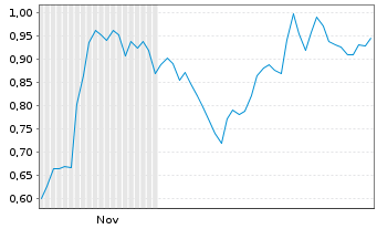 Chart Mini Future Short Palo Alto Networks - 6 Monate
