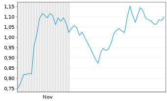 Chart Mini Future Short Palo Alto Networks - 6 Monate