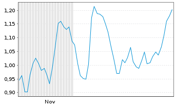 Chart Mini Future Long Formycon - 6 Monate