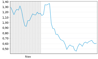 Chart Mini Future Long Snowflake - 6 Monate
