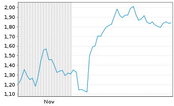 Chart Mini Future Short Snowflake - 6 Monate