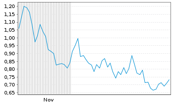 Chart Mini Future Short Shopify - 6 Monate