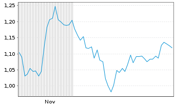 Chart Mini Future Long Fresenius Medical Care - 6 Monate