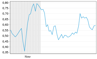 Chart Mini Future Long IBU-tec advanced materials - 6 Monate