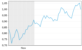 Chart Mini Future Long Bank of America - 6 Monate