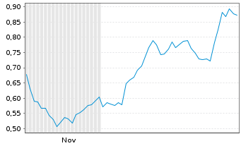 Chart Mini Future Long Duerr - 6 Monate