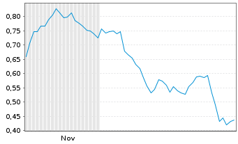 Chart Mini Future Short Duerr - 6 Monate