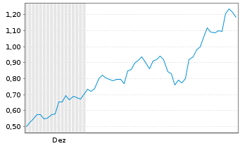Chart Mini Future Long FinTech Group - 6 Monate