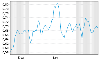Chart Mini Future Short Volkswagen - 6 Monate