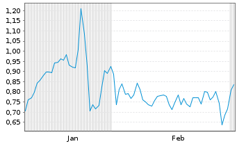 Chart Mini Future Short Puma - 6 Monate