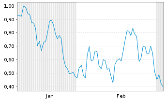 Chart Mini Future Long Nike - 6 Months