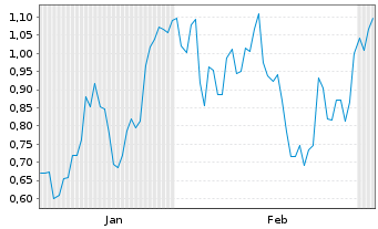Chart Mini Future Short Nike - 6 Months