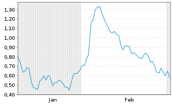 Chart Mini Future Short PVA TePla - 6 Monate